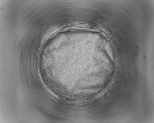 X0000059800049200511111611