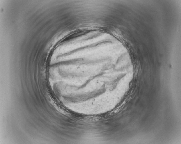 X0000059800050200511111611