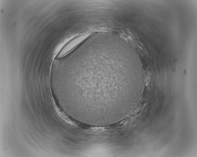 X0000059800052200511111611