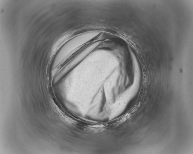 X0000059800053200511111611