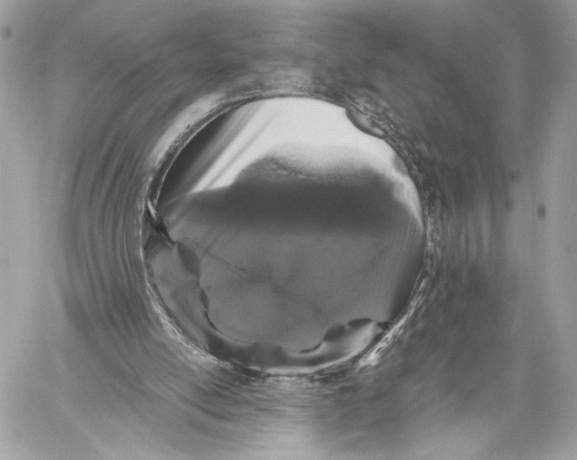 X0000059800054200511111611