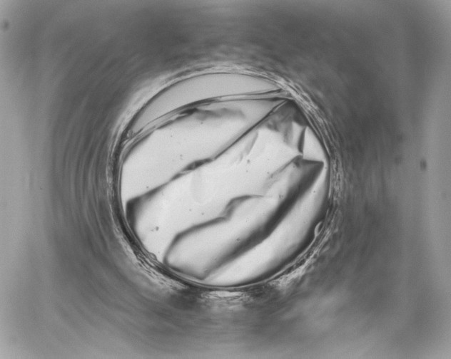 X0000059800055200511111611