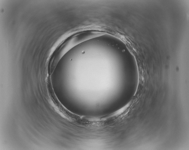 X0000059800056200511111611