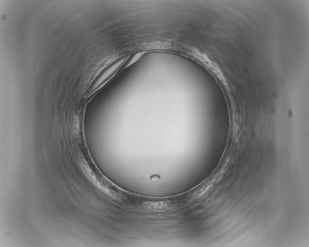 X0000059800057200511111611