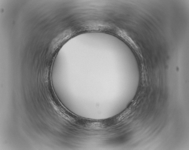 X0000059800058200511111611