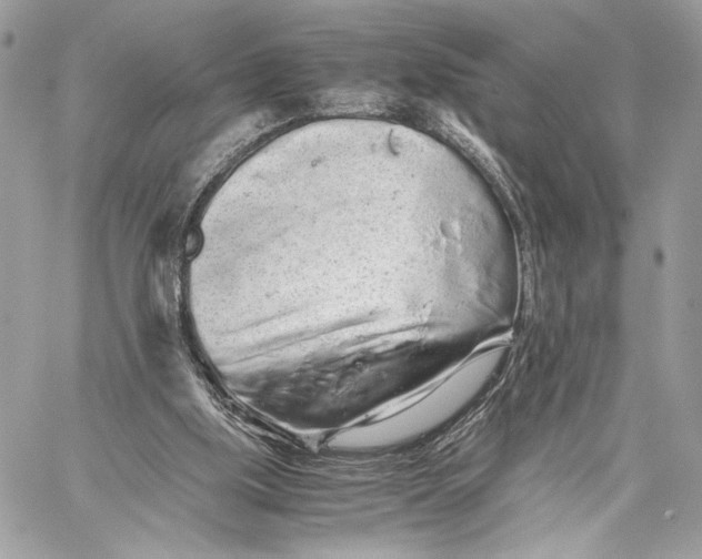 X0000059800059200511111611