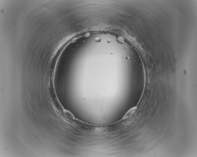 X0000059800060200511111611