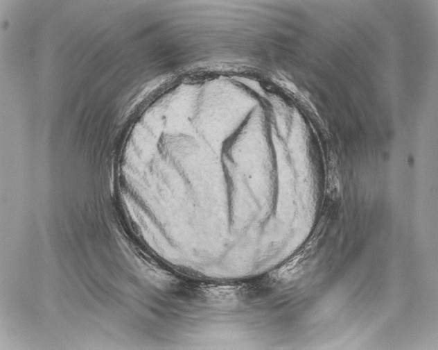 X0000059800062200511111612