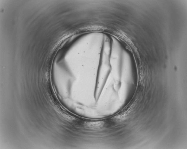 X0000059800063200511111612