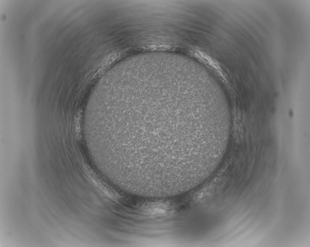 X0000059800065200511111612