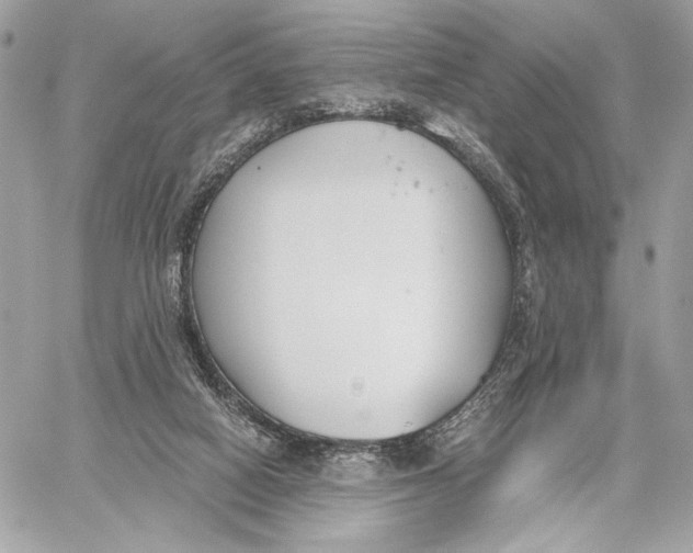 X0000059800066200511111612