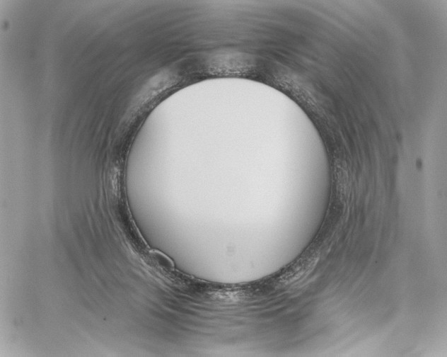 X0000059800071200511111612