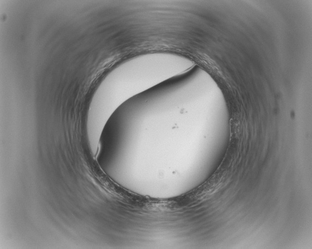 X0000059800072200511111612