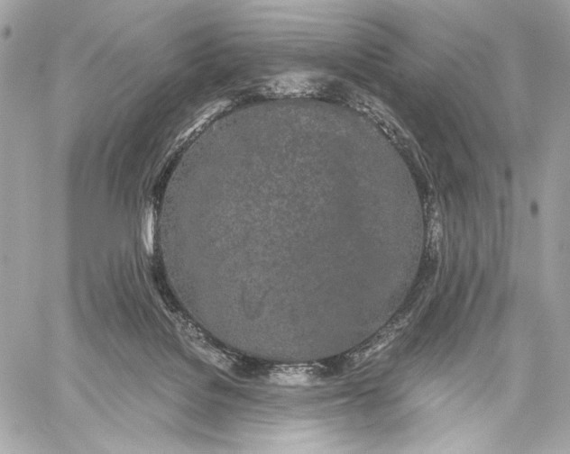 X0000059800076200511111612