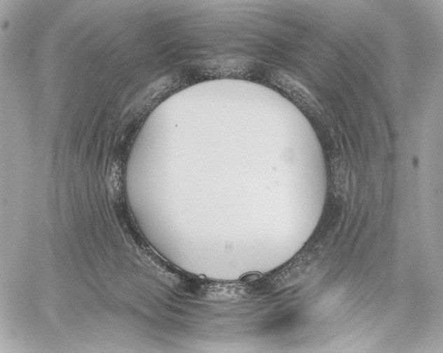 X0000059800077200511111612