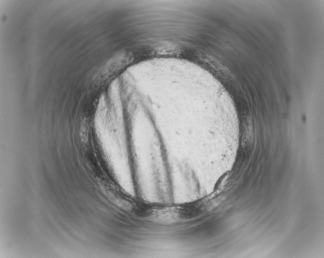 X0000059800078200511111612