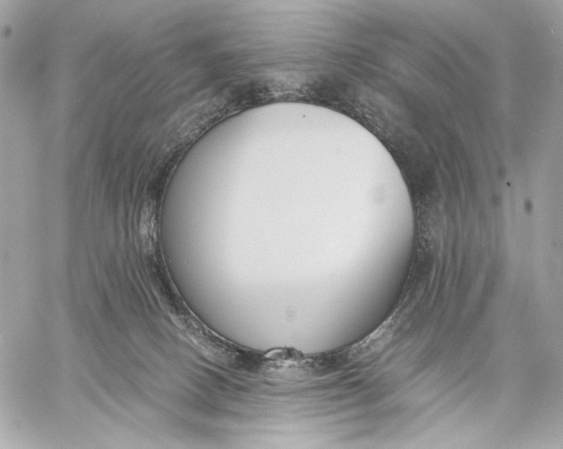 X0000059800082200511111612