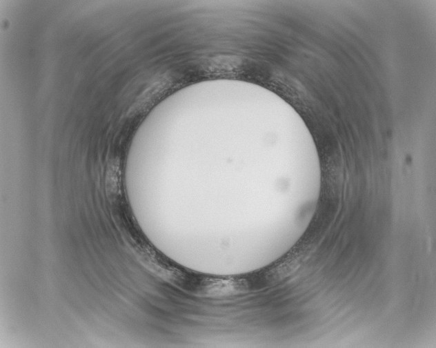 X0000059800083200511111612