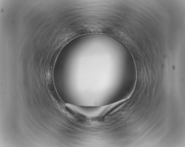 X0000059800084200511111612