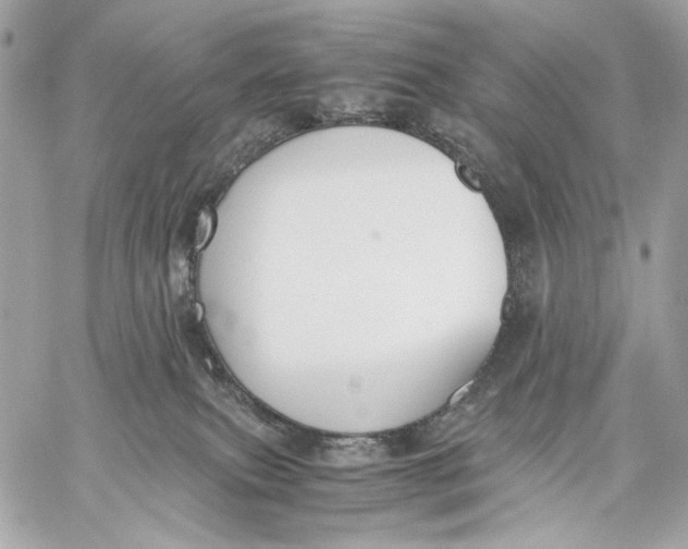 X0000059800087200511111612