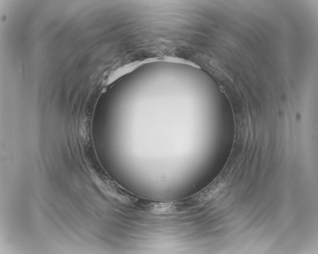 X0000059800088200511111612