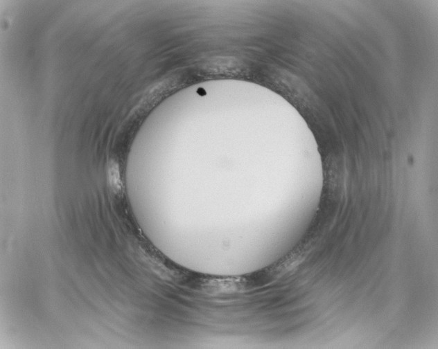 X0000059800089200511111612