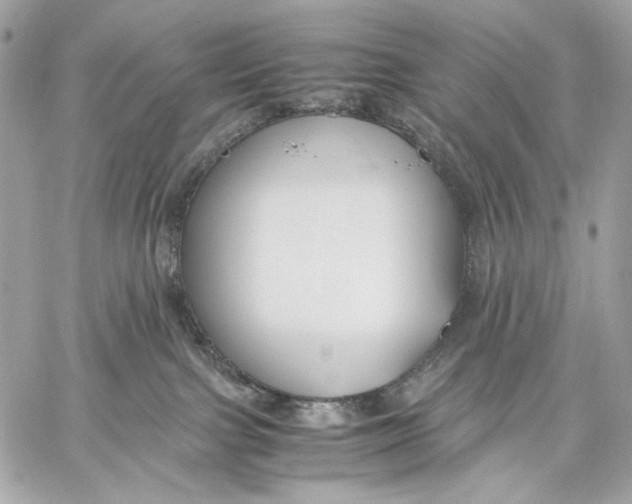 X0000059800091200511111612