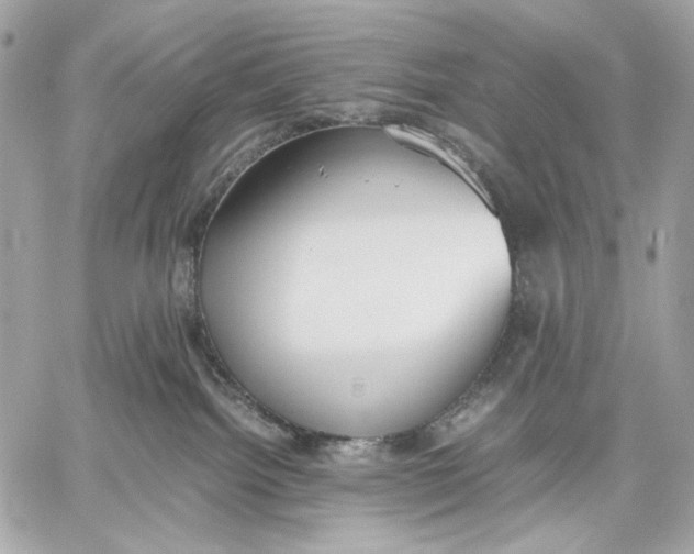 X0000059800092200511111612