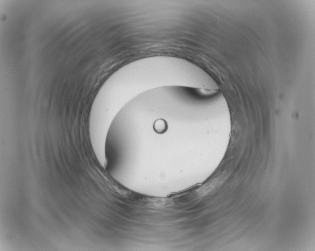 X0000059800096200511111612