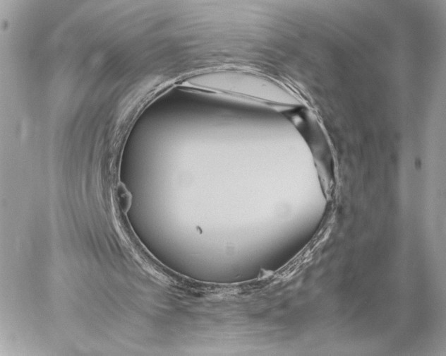 X0000059800097200511111611