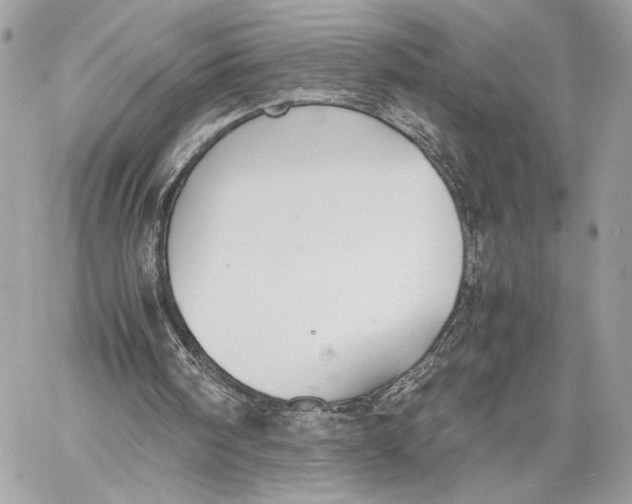 X0000059800098200511111611