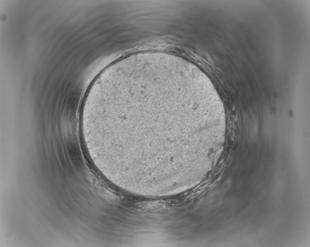 X0000059800100200511111611