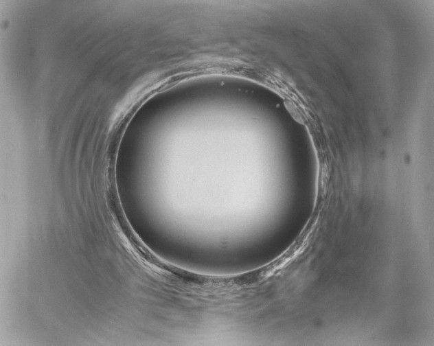 X0000059800101200511111611