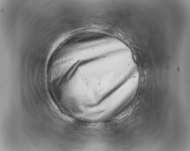 X0000059800102200511111611