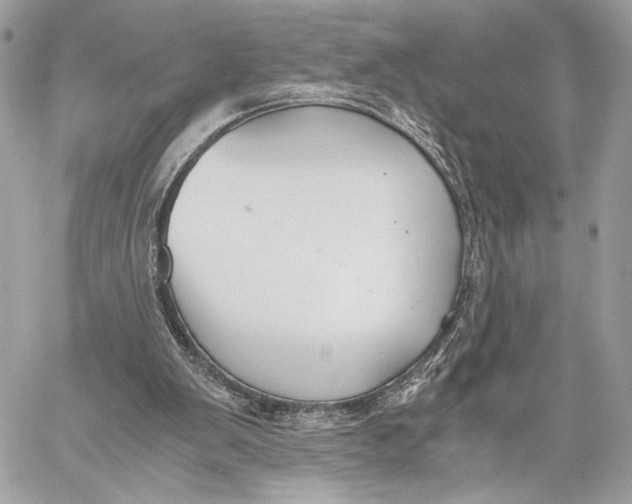 X0000059800103200511111611