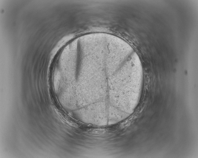 X0000059800104200511111611