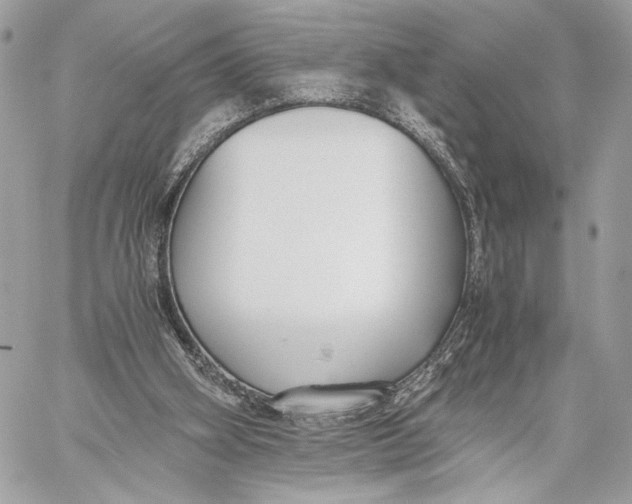 X0000059800106200511111611