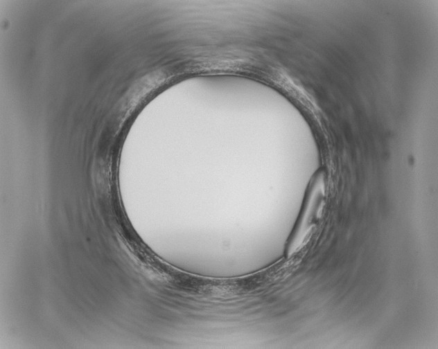 X0000059800107200511111611