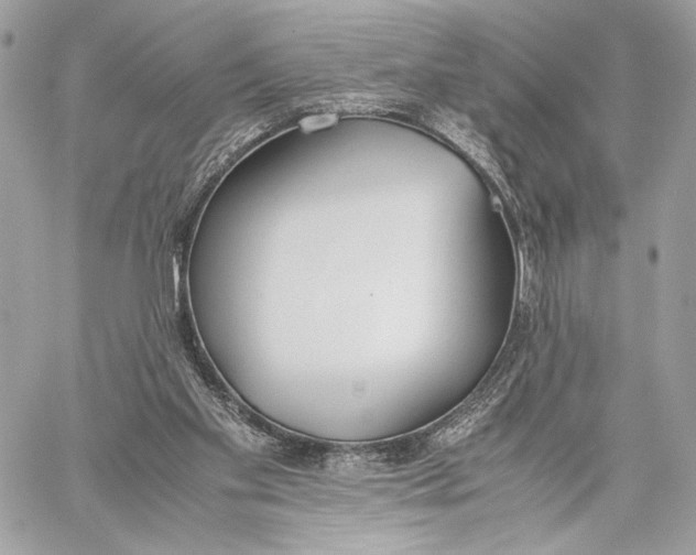 X0000059800109200511111611