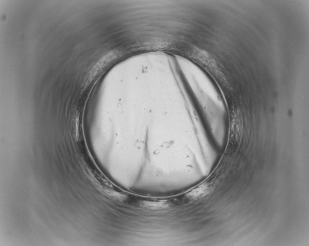 X0000059800110200511111611