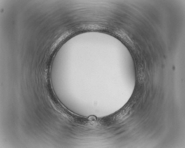 X0000059800111200511111611