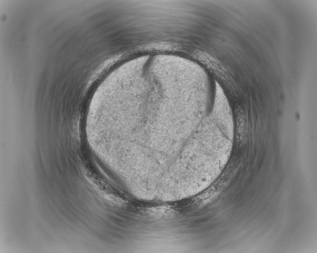 X0000059800112200511111611