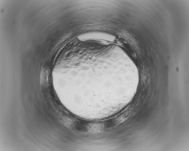 X0000059800115200511111611