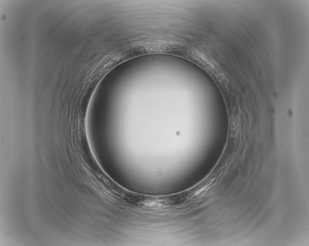 X0000059800117200511111611