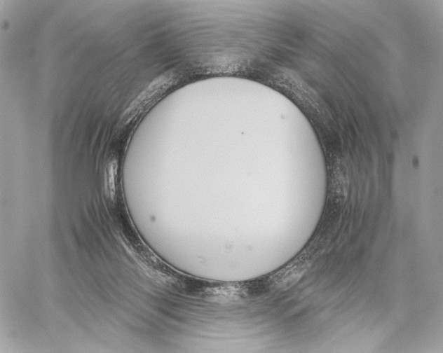 X0000059800118200511111611