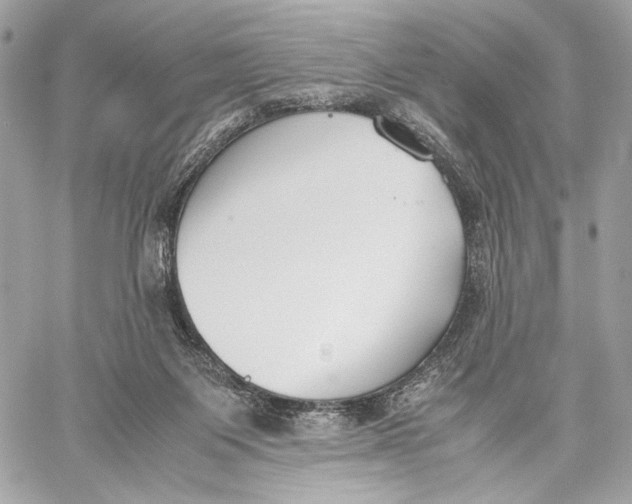 X0000059800119200511111611