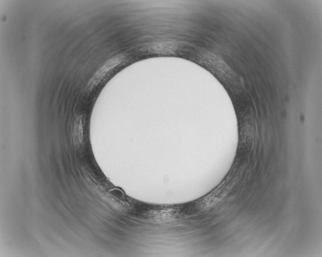 X0000059800120200511111611