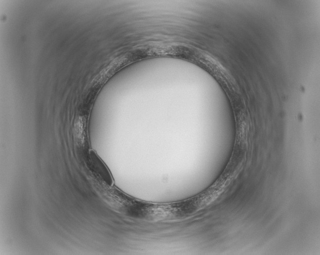 X0000059800121200511111611