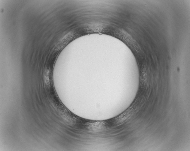 X0000059800122200511111611