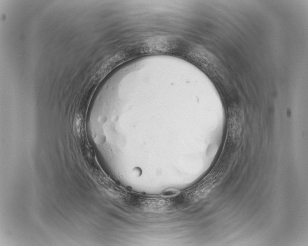 X0000059800123200511111611